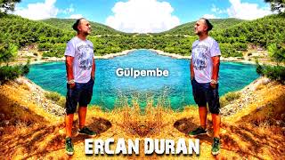 Ercan Duran - Gülpembe Resimi