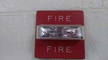 Wheelock RSS-24-MCW Fire Alarm Strobe