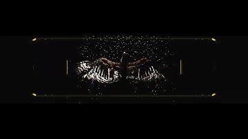 Iowa Football 2025 Intro Video | The Swarm