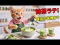 【まさかの転機】ここにゃん、TVの抹茶に一目惚れ…見習いから始まり自宅で極上ラテを作れるようになった物語😱🍵✨