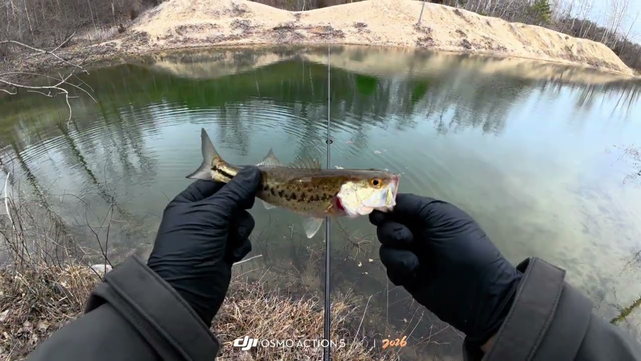 Cold Water Bass Fishing… Found Them But Only Dinks 😂