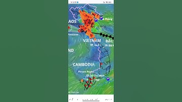 # dị thường của cơn bão số 5