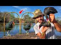 رحلة صيد دجاج الماء بأذكى الفخاخ والنتيجة كانت مبهرة جدا