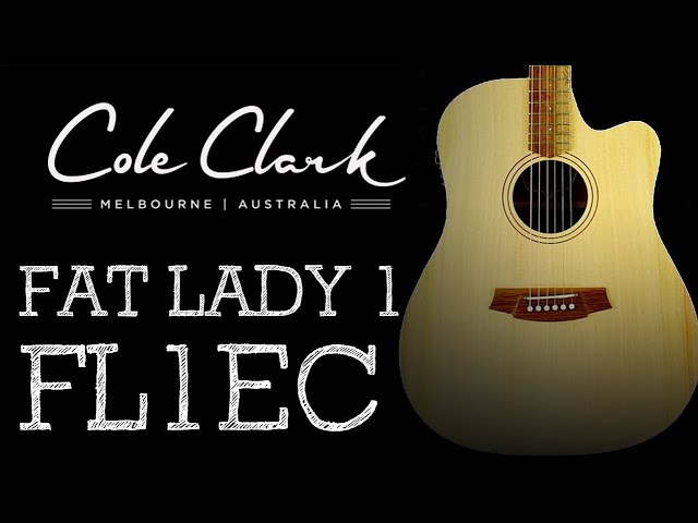 Cole Clark Guitars - FL1EC Dreadnought Acoustic - YouTube