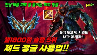 챌1800점 제드 정글 사용법!! 풀캠프 2분53초 적 정글 풀캠 돌 동안 템까지 뽑아서 갱을 간다구!?