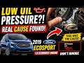 2019 Ford EcoSport 1.0L Low Oil Pressure Light? REAL Cause Found!
