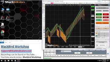 BlackBird Workshop - Two Profit Targets With Stop-Loss That Moves to Breakeven at 10 Ticks of Profit