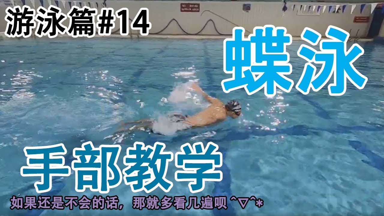 蝶泳手游泳教学示范