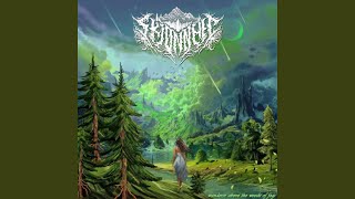 Download Lagu Perennial Edelweiss Flowers MP3