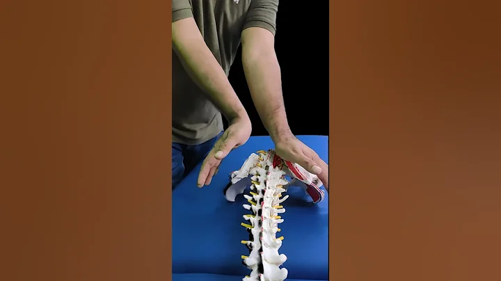 SACRO-ILIAC LIGAMENT RELEASE FOR LOW BACK PAIN. - DayDayNews