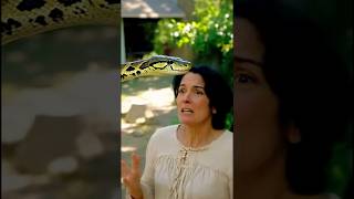 Famous Woman Finds Python #amazing Wealth