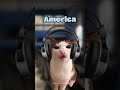 Bro skipped history class 💀🎮 #catmemes #gamingmemes #shorts