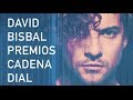 David Bisbal - Premios Cadena Dial 2014