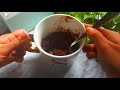 1 Minute Vegan Protein Brownie | Low-Carb | Gluten-Free