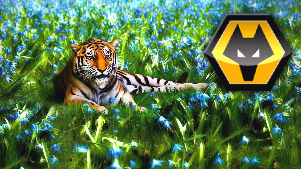 T & Sugah   Cast Away ft  Ayve