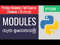 Python Modules (සිංහල) Ep1 - Modules ගැන ඉගෙනගමු