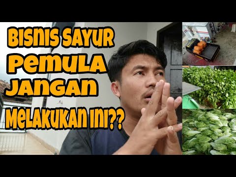 Video: Cara Berniaga Sayur