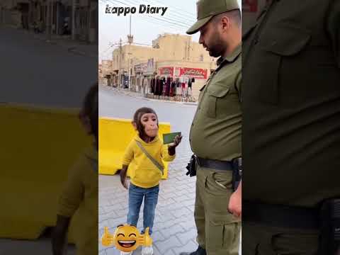 يوميات القرد ساسكو والعسكري Funny اكسبلور اكسبلور Comedy ضحك ضحك Automobil Humor Memes كوميديا