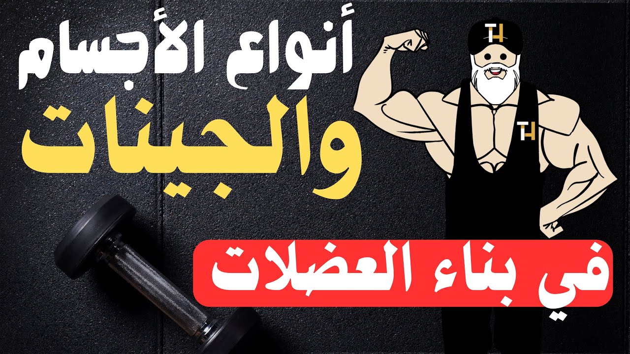 أنواع الأجسام والجينات في بناء العضلات. ماهو نوع جسمي وجيناتي في بناء العضلات ! جينات كمال الأجسام.