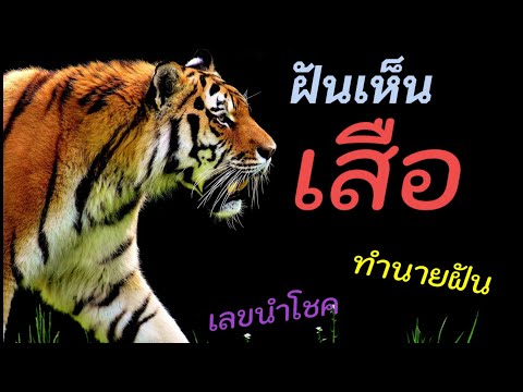 ผลสลากกินแบ่งรัฐบาล วันที่ 1 พย. 2567