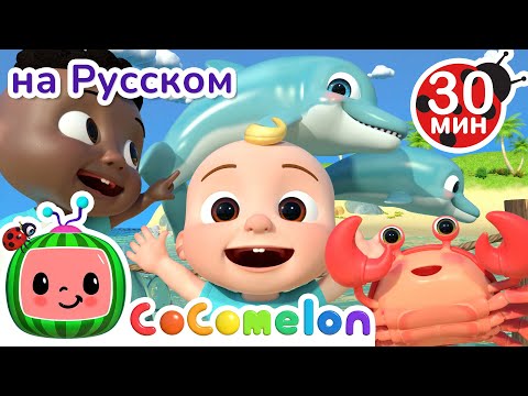 Морские Животные | Новая Серия💫 30 минут | CoComelon на русском — Детские песенки