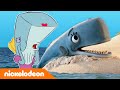 Bob Esponja | Perla encallada | Nickelodeon en Español