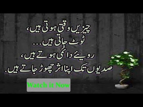 Most Heart Touching Collection Of Precious Words|Urdu Life Changing Quotes|Adeel Hassan|Quotes|Urdu