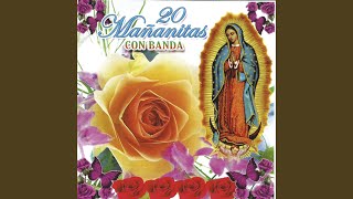 Video thumbnail of "Edgardo Nuñez - Las Mañanitas Guadalupanas"