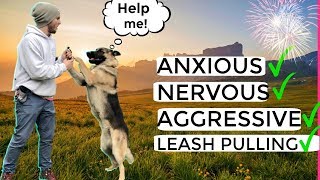 How to stop Dog Anxiety, Aggression, Pulling on the leash! German Shepherd Training Full tutorial