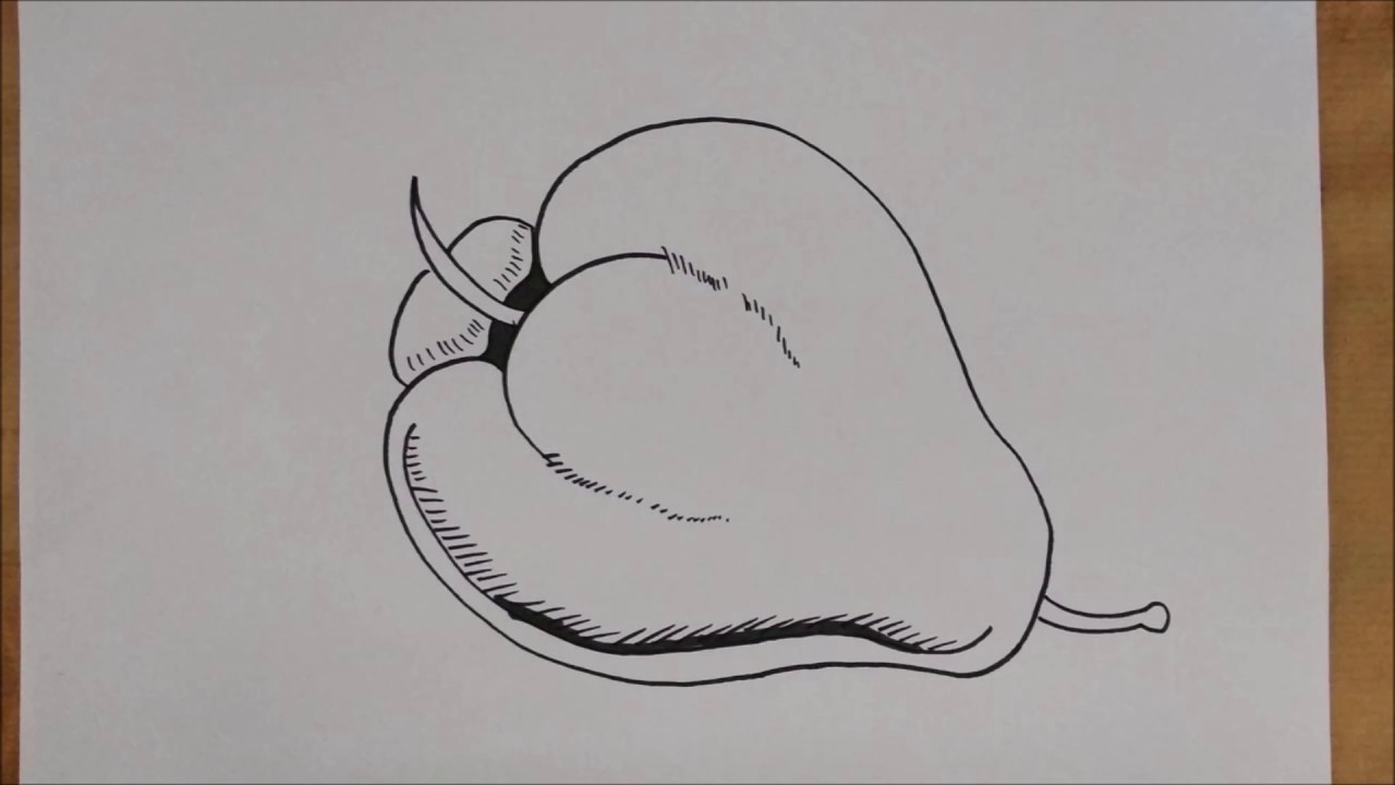 Menggambar Buah Jambu Air / Drawing Water Guava YouTube