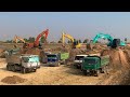 Amazing Work.!!  Best Excavator Loading Dirt Truck អិចស្កាកាយដីដាក់ឡានតំរៀបគ្នា