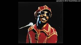 STEVIE WONDER - BIG BROTHER