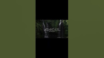 { وَرَبَطْنَا عَلَىٰ قُلُوبِهِمْ } (14) الكهف | ياسر الدوسري / سورة الكهف
