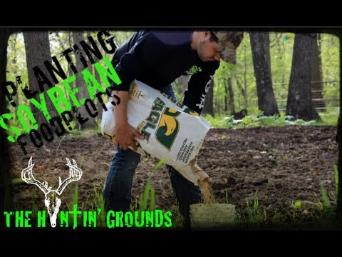 How to Plant your Food Plot in Soybeans S6 : #6