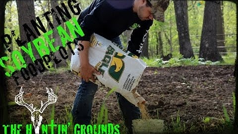 How to Plant your Food Plot in Soybeans S6 : #6