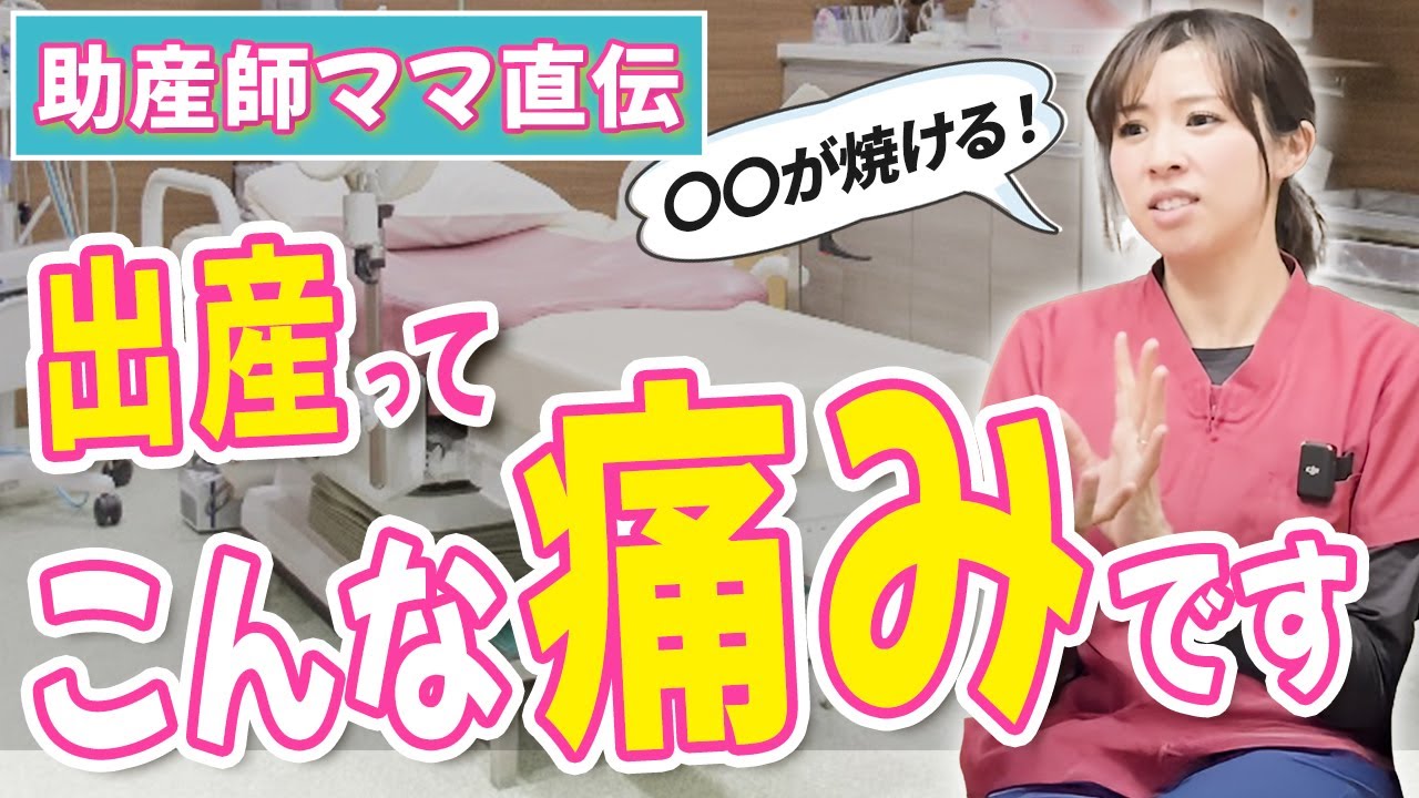 えらんだお産 「聞きたかった！」42人のお産体験ストーリー＆最新