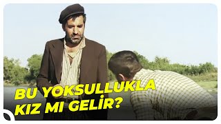 O Evden Kız Değil Tavuk Bile Alamazsın Yürek Yarası
