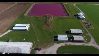 Swine Research Center at the University of Illinois
