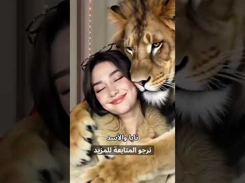 تايا والأسد 