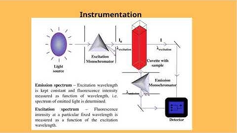 Exploring Fluorescence Spectroscopy: Principles, Instrumentation, and Applications