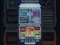 Quantum Wavefunction Deep Dive: Tracking the “Past” of a Particle