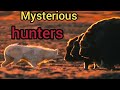 Ruthless hunting...