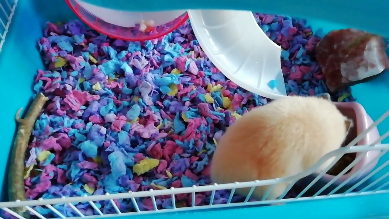 Наполнитель CareFresh "Colors Confetti", для мелких домашних животных, на бумажной основе