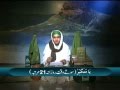 Khwab Main Billi Ka Sar Cut Jane Ki Tabeer Khwab Main Billi Ka Sar Cut Jane Ki Tabeer