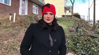 Reporter Update: Winds Bring Large Tree Down Onto Wires In Scott Twp.