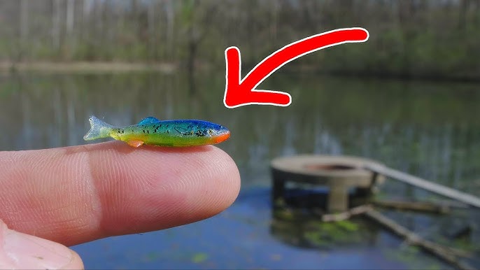 MICRO Jointed Swimbait!!! - SMALLEST in the WORLD! (Surprising