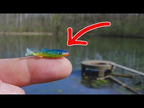 SMALLEST Swimbait EVER = MONSTER Fish!!! (NEW PB) 