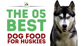 The Best Dog Foods For Huskies