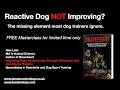 Reactive Dog NOT Improving? The missing piece most dog trainers ignore