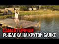 Жаркая рыбалка лета 2020.  Карпфишинг